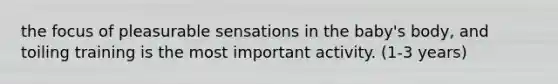 the focus of pleasurable sensations in the baby's body, and toiling training is the most important activity. (1-3 years)