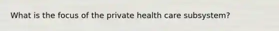 What is the focus of the private health care subsystem?