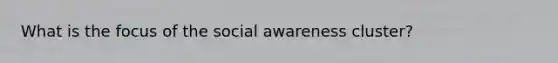 What is the focus of the social awareness cluster?