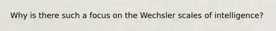 Why is there such a focus on the Wechsler scales of intelligence?