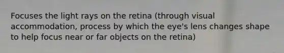 Focuses the light rays on the retina (through visual accommodation, process by which the eye's lens changes shape to help focus near or far objects on the retina)