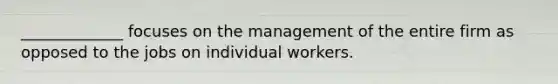 _____________ focuses on the management of the entire firm as opposed to the jobs on individual workers.