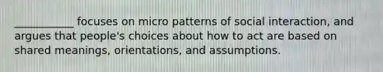 ___________ focuses on micro patterns of social interaction, and argues that people's choices about how to act are based on shared meanings, orientations, and assumptions.