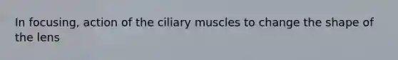 In focusing, action of the ciliary muscles to change the shape of the lens