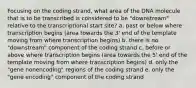 Focusing on the coding strand, what area of the DNA molecule that is to be transcribed is considered to be "downstream" relative to the transcriptional start site? a. past or below where transcription begins (area towards the 3' end of the template moving from where transcription begins) b. there is no "downstream" component of the coding strand c. before or above where transcription begins (area towards the 5' end of the template moving from where transcription begins) d. only the "gene nonencoding" regions of the coding strand e. only the "gene encoding" component of the coding strand