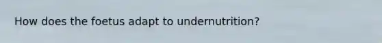 How does the foetus adapt to undernutrition?
