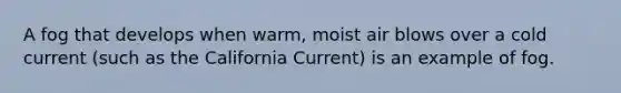 A fog that develops when warm, moist air blows over a cold current (such as the California Current) is an example of fog.