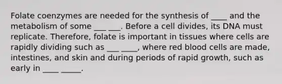 Folate coenzymes are needed for the synthesis of ____ and the metabolism of some ___ ___. Before a cell divides, its DNA must replicate. Therefore, folate is important in tissues where cells are rapidly dividing such as ___ ____, where red blood cells are made, intestines, and skin and during periods of rapid growth, such as early in ____ _____.