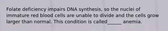 Folate deficiency impairs DNA synthesis, so the nuclei of immature red blood cells are unable to divide and the cells grow larger than normal. This condition is called______ anemia.