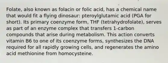 Folate, also known as folacin or folic acid, has a chemical name that would fit a flying dinosaur: pteroylglutamic acid (PGA for short). Its primary coenzyme form, THF (tetrahydrofolate), serves as part of an enzyme complex that transfers 1-carbon compounds that arise during metabolism. This action converts vitamin B6 to one of its coenzyme forms, synthesizes the DNA required for all rapidly growing cells, and regenerates the amino acid methionine from homocysteine.