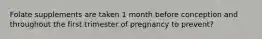 Folate supplements are taken 1 month before conception and throughout the first trimester of pregnancy to prevent?