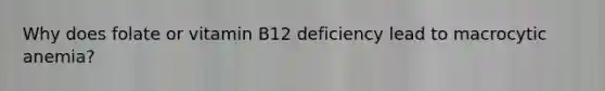 Why does folate or vitamin B12 deficiency lead to macrocytic anemia?