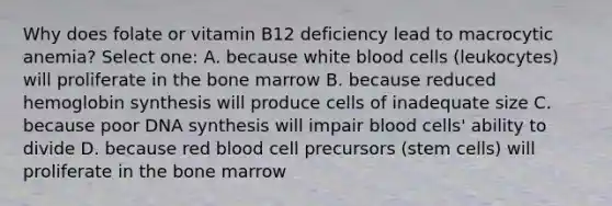 Why does folate or vitamin B12 deficiency lead to macrocytic anemia? Select one: A. because white blood cells (leukocytes) will proliferate in the bone marrow B. because reduced hemoglobin synthesis will produce cells of inadequate size C. because poor DNA synthesis will impair blood cells' ability to divide D. because red blood cell precursors (stem cells) will proliferate in the bone marrow