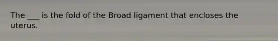 The ___ is the fold of the Broad ligament that encloses the uterus.