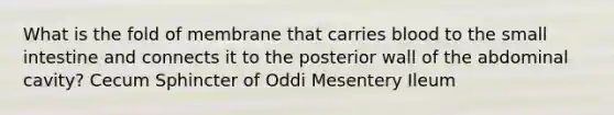 What is the fold of membrane that carries blood to the small intestine and connects it to the posterior wall of the abdominal cavity? Cecum Sphincter of Oddi Mesentery Ileum