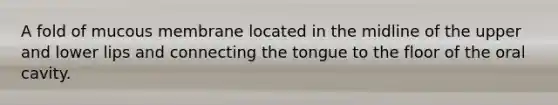 A fold of mucous membrane located in the midline of the upper and lower lips and connecting the tongue to the floor of the oral cavity.