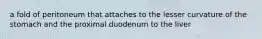 a fold of peritoneum that attaches to the lesser curvature of the stomach and the proximal duodenum to the liver