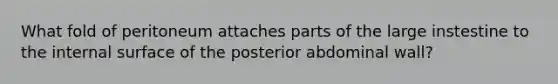 What fold of peritoneum attaches parts of the large instestine to the internal surface of the posterior abdominal wall?