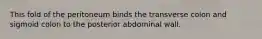 This fold of the peritoneum binds the transverse colon and sigmoid colon to the posterior abdominal wall.