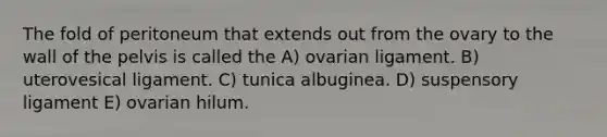 The fold of peritoneum that extends out from the ovary to the wall of the pelvis is called the A) ovarian ligament. B) uterovesical ligament. C) tunica albuginea. D) suspensory ligament E) ovarian hilum.