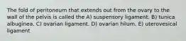 The fold of peritoneum that extends out from the ovary to the wall of the pelvis is called the A) suspensory ligament. B) tunica albuginea. C) ovarian ligament. D) ovarian hilum. E) uterovesical ligament