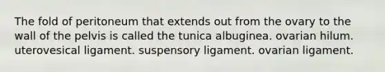 The fold of peritoneum that extends out from the ovary to the wall of the pelvis is called the tunica albuginea. ovarian hilum. uterovesical ligament. suspensory ligament. ovarian ligament.