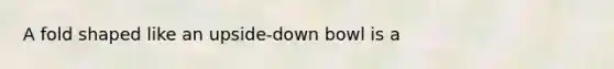 A fold shaped like an upside-down bowl is a