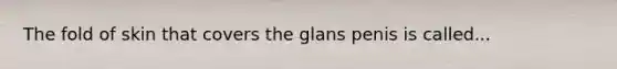 The fold of skin that covers the glans penis is called...