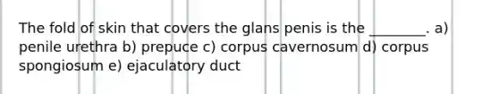 The fold of skin that covers the glans penis is the ________. a) penile urethra b) prepuce c) corpus cavernosum d) corpus spongiosum e) ejaculatory duct