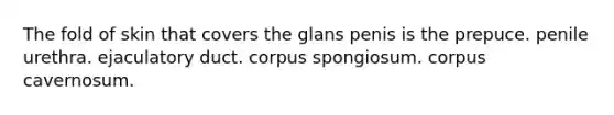 The fold of skin that covers the glans penis is the prepuce. penile urethra. ejaculatory duct. corpus spongiosum. corpus cavernosum.