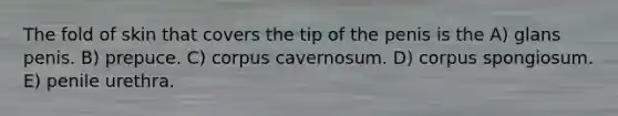 The fold of skin that covers the tip of the penis is the A) glans penis. B) prepuce. C) corpus cavernosum. D) corpus spongiosum. E) penile urethra.