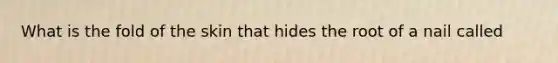 What is the fold of the skin that hides the root of a nail called