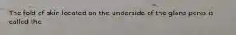 The fold of skin located on the underside of the glans penis is called the