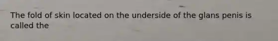 The fold of skin located on the underside of the glans penis is called the