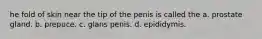 he fold of skin near the tip of the penis is called the a. prostate gland. b. prepuce. c. glans penis. d. epididymis.