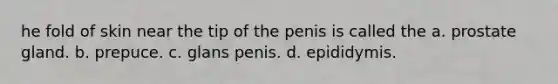 he fold of skin near the tip of the penis is called the a. prostate gland. b. prepuce. c. glans penis. d. epididymis.