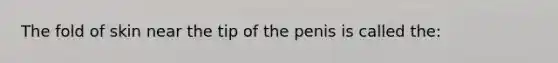 The fold of skin near the tip of the penis is called the: