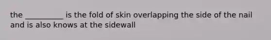 the __________ is the fold of skin overlapping the side of the nail and is also knows at the sidewall