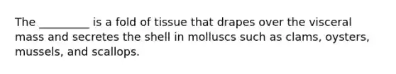 The _________ is a fold of tissue that drapes over the visceral mass and secretes the shell in molluscs such as clams, oysters, mussels, and scallops.