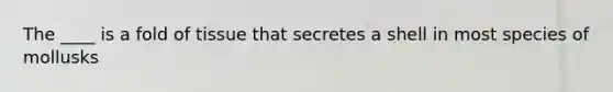 The ____ is a fold of tissue that secretes a shell in most species of mollusks
