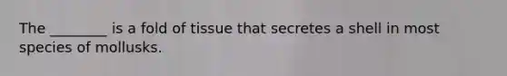 The ________ is a fold of tissue that secretes a shell in most species of mollusks.