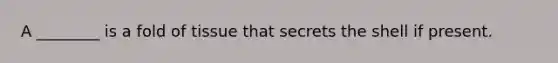 A ________ is a fold of tissue that secrets the shell if present.