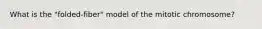 What is the "folded-fiber" model of the mitotic chromosome?