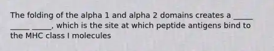 The folding of the alpha 1 and alpha 2 domains creates a _____ _____ _____, which is the site at which peptide antigens bind to the MHC class I molecules