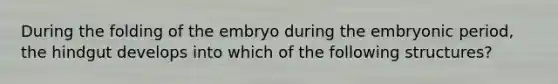 During the folding of the embryo during the embryonic period, the hindgut develops into which of the following structures?