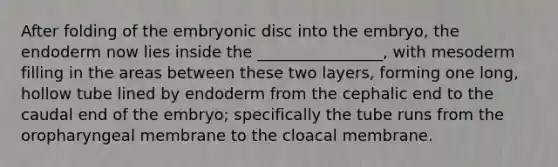 After folding of the embryonic disc into the embryo, the endoderm now lies inside the ________________, with mesoderm filling in the areas between these two layers, forming one long, hollow tube lined by endoderm from the cephalic end to the caudal end of the embryo; specifically the tube runs from the oropharyngeal membrane to the cloacal membrane.