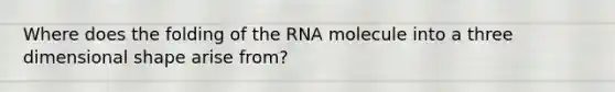 Where does the folding of the RNA molecule into a three dimensional shape arise from?