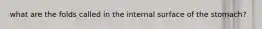 what are the folds called in the internal surface of the stomach?