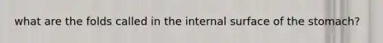 what are the folds called in the internal surface of the stomach?