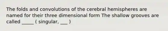 The folds and convolutions of the cerebral hemispheres are named for their three dimensional form The shallow grooves are called _____ ( singular, ___ )